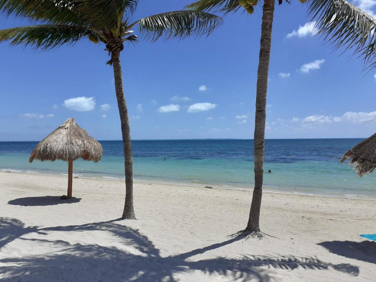 Turquise Beach Cancun Suite Eksteriør bilde